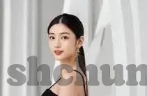2022大象传媒视频-2022年大象传媒视频，重塑娱乐与文化传播的新篇章