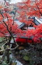 大象传媒精品-大象传媒精品，匠心独运，铸就文化传播新高度
