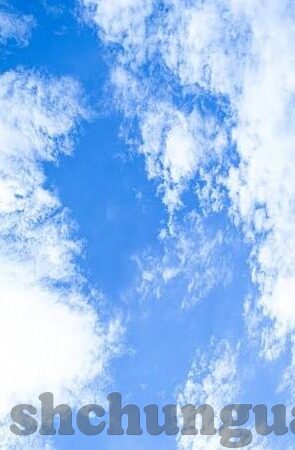 久草在线中文字幕-探索网络文化的多元视角，久草在线中文字幕的背后