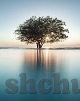 手机免费的成人在视频-免费成人视频内容在手机上的兴起与影响