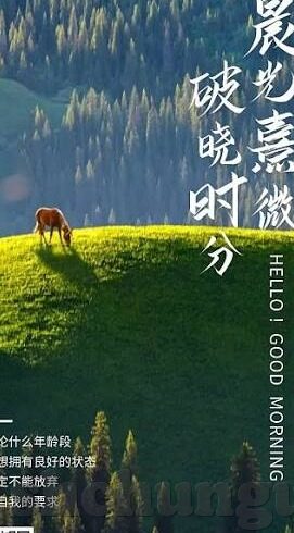 糖心app怎么打开-糖心APP的使用指南，解锁体验新方式