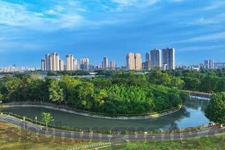 糖心vlog哪个漂亮-探寻糖心Vlog的美丽魅力