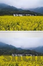 糖心vlog入口进入网站-美术与生活的创意邂逅，糖心Vlog的奇妙之旅